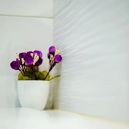 Lilla Apartament *